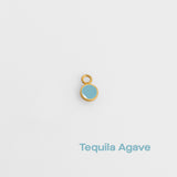 tequila agave