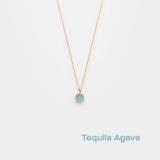 tequila agave