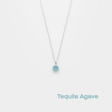 tequila agave