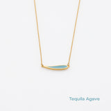 tequila agave