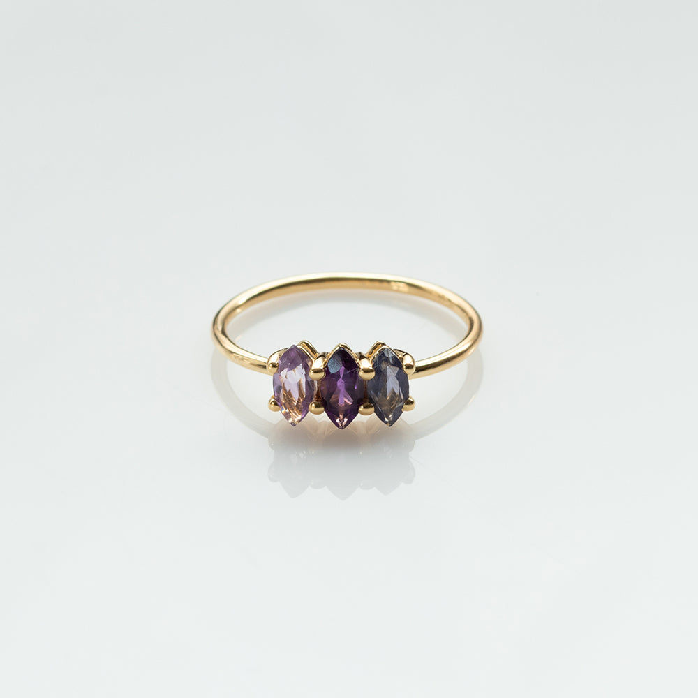 Fizzy amethyst & iolite ring 14K yellow gold