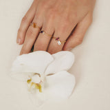 Fizzy citrine & amethyst ring 14K yellow gold