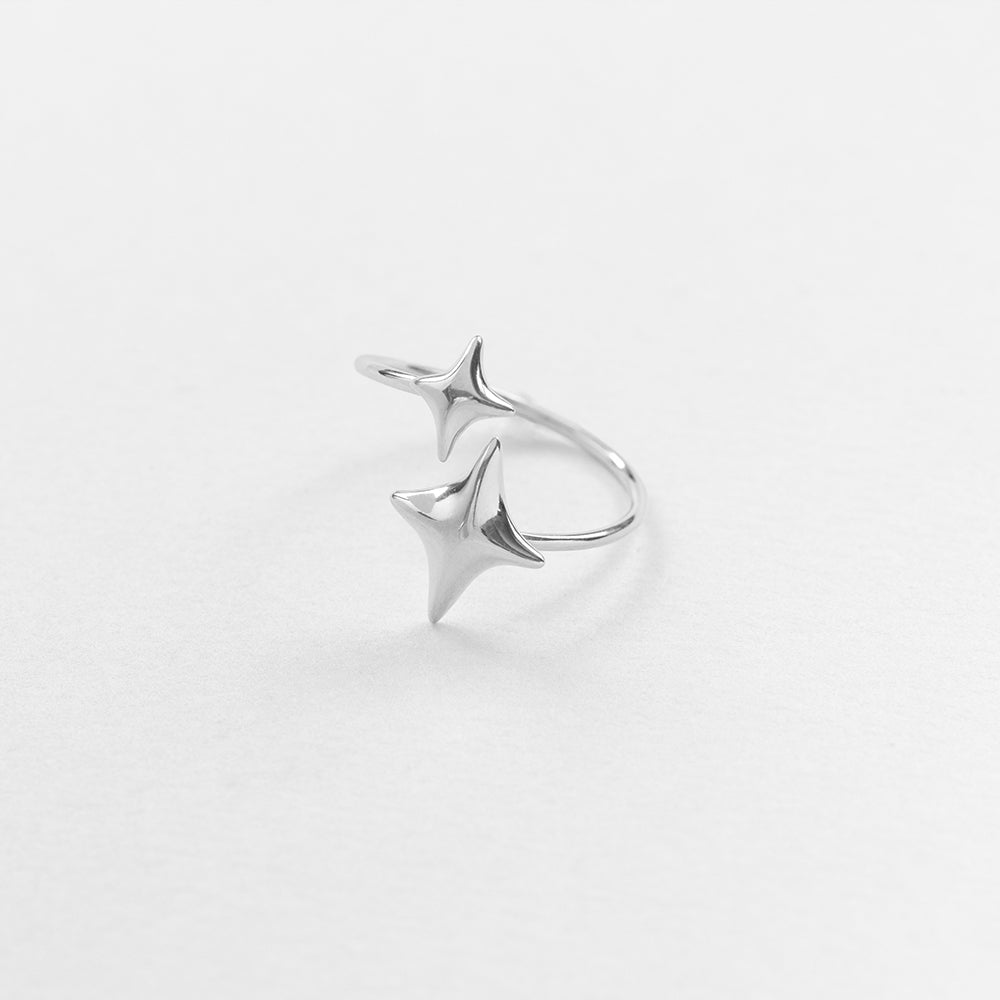 Gazing double ring silver